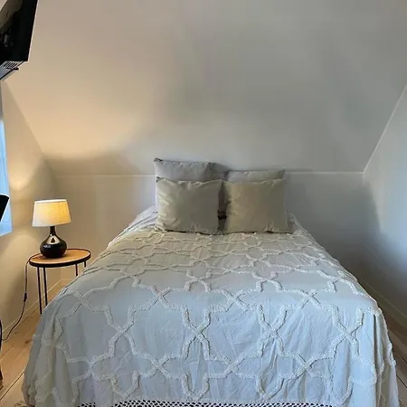 Elsa In The Area 派尔努