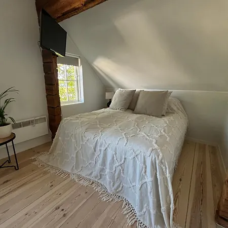 Elsa In The Area 派尔努