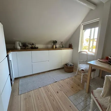 公寓 Elsa In The Area 派尔努