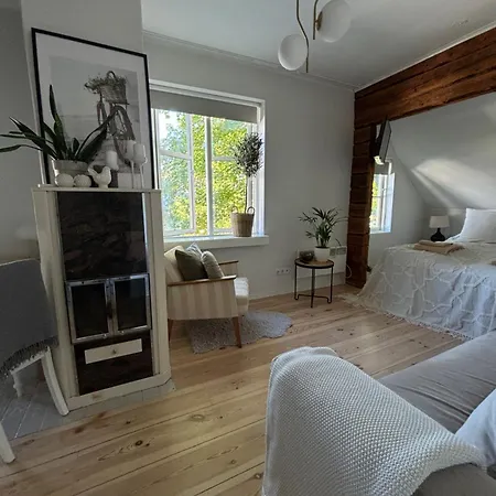 Elsa In The Area * 派尔努