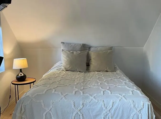 Elsa In The Area Parnu