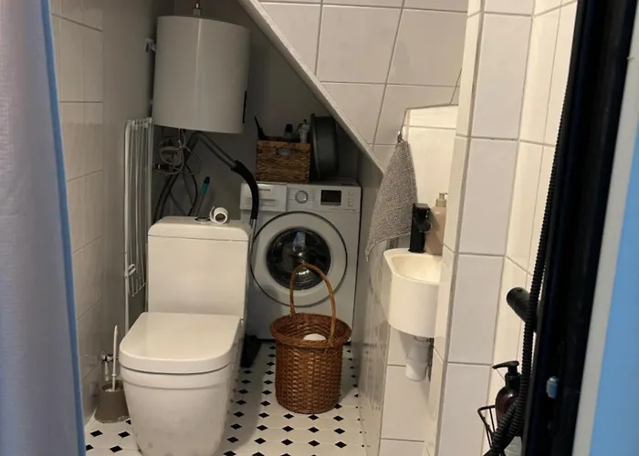 Elsa In The Area Parnu