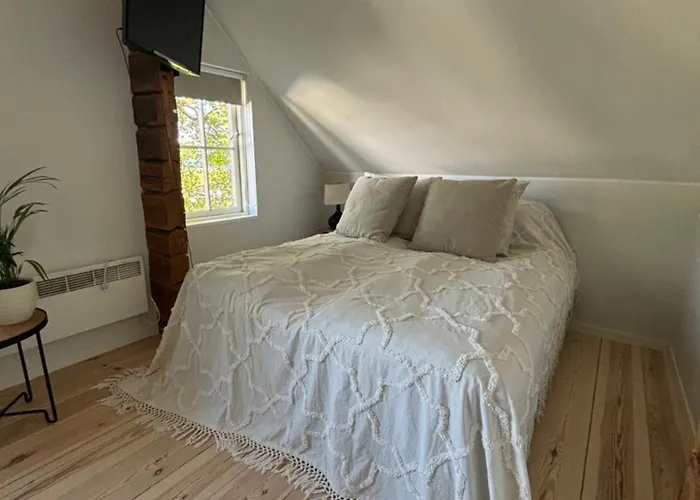 Elsa In The Area Parnu