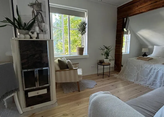 Elsa In The Area * Parnu